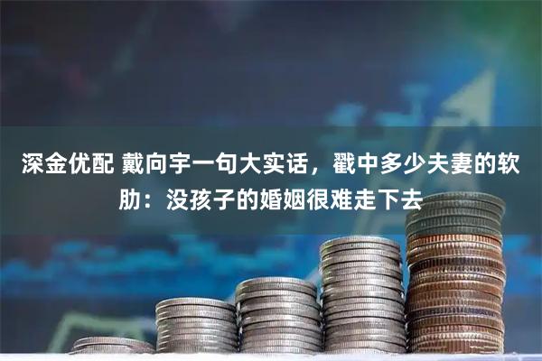 深金优配 戴向宇一句大实话,戳中多少夫妻的软肋:没孩子的婚姻很难走下去