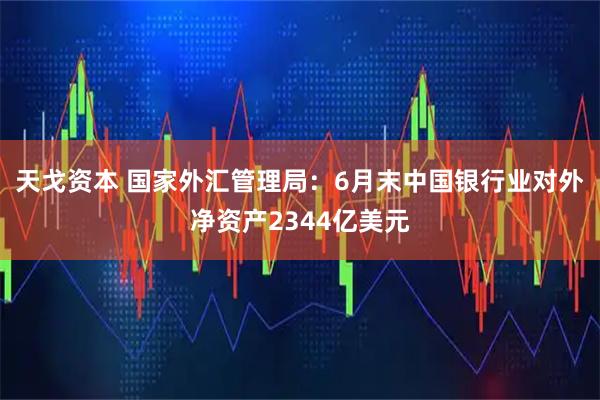 天戈资本 国家外汇管理局：6月末中国银行业对外净资产2344亿美元