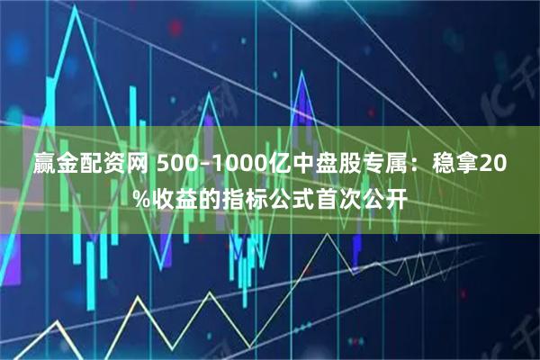 赢金配资网 500–1000亿中盘股专属：稳拿20%收益的指标公式首次公开
